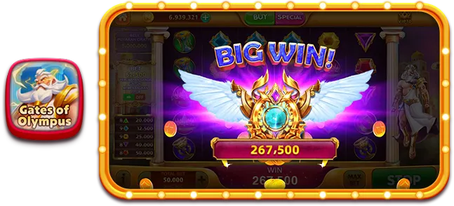 RVIP1 screenshot