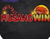 Musangwin