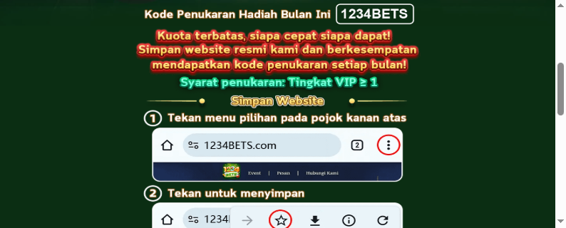 1234BETS screenshot