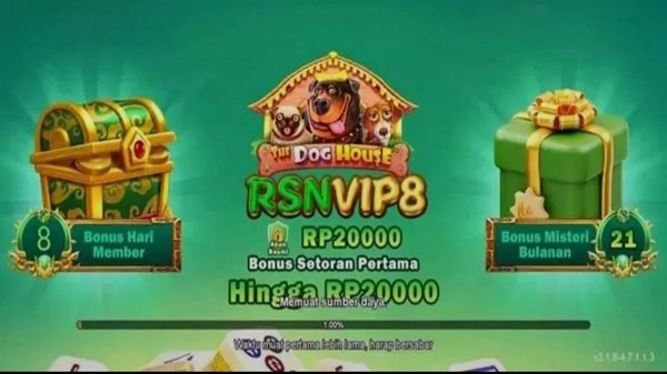 RSNVIP8 screenshot