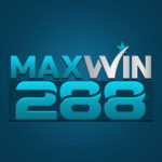 Maxwin288