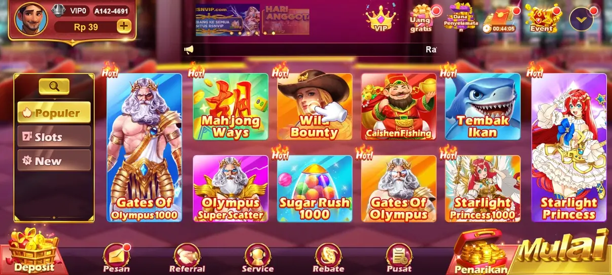 RPVIP2 screenshot