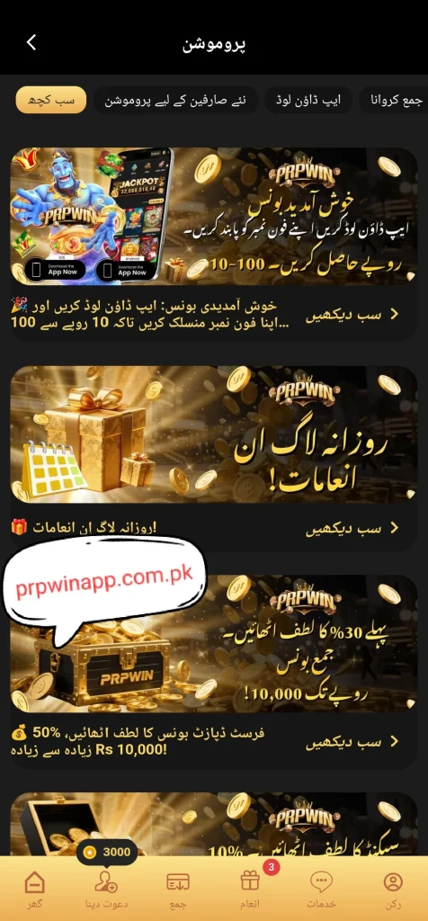 RP WIN screenshot