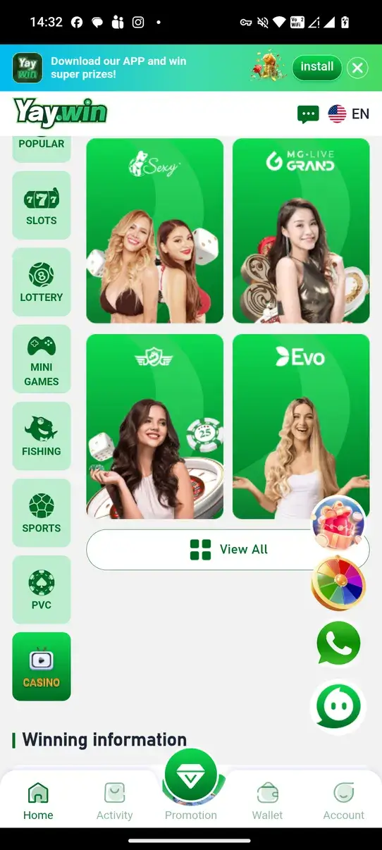 YayWin screenshot