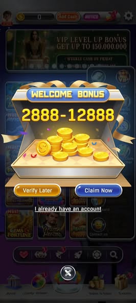 Hoki Arena screenshot