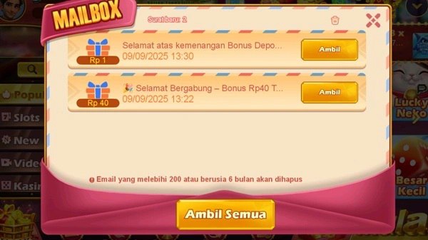 RSNVIP6 screenshot