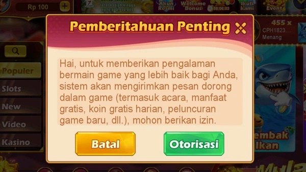 RSNVIP6 screenshot