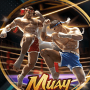 Arena333 APK