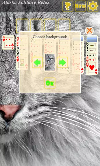 Alaska Solitaire Relax screenshot