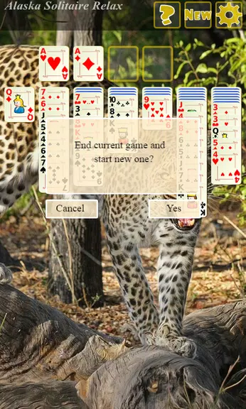 Alaska Solitaire Relax screenshot