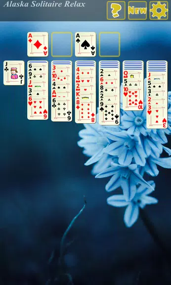 Alaska Solitaire Relax screenshot
