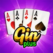 Gin Rummy Plus apk