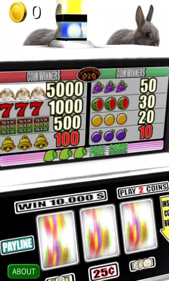 3D Bunny Rabbit Slots screenshot