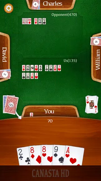 Canasta HD screenshot