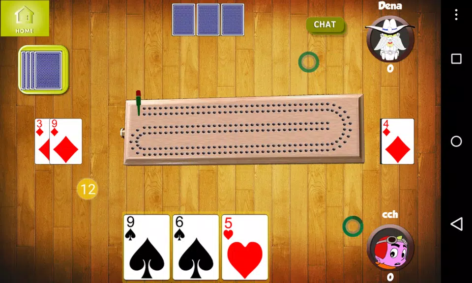 Cribbage Friends screenshot