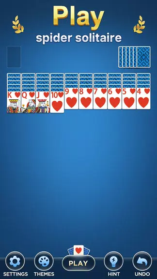 Daily Spider Solitaire Classic screenshot