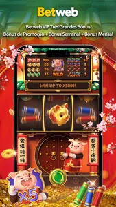 Piggy Gold 888 screenshot