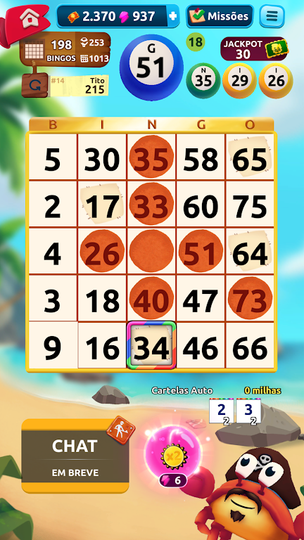 Bingo Bloon screenshot