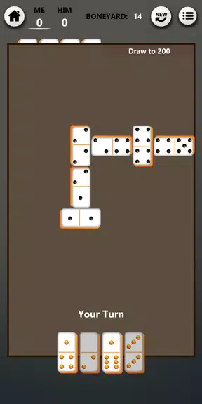 Dominos Classic screenshot