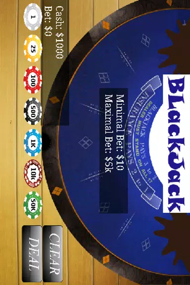 BlackJack 21 Casino Free screenshot