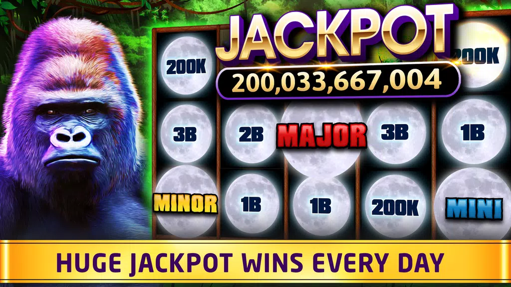 WinFun - New Free Slots Casino screenshot
