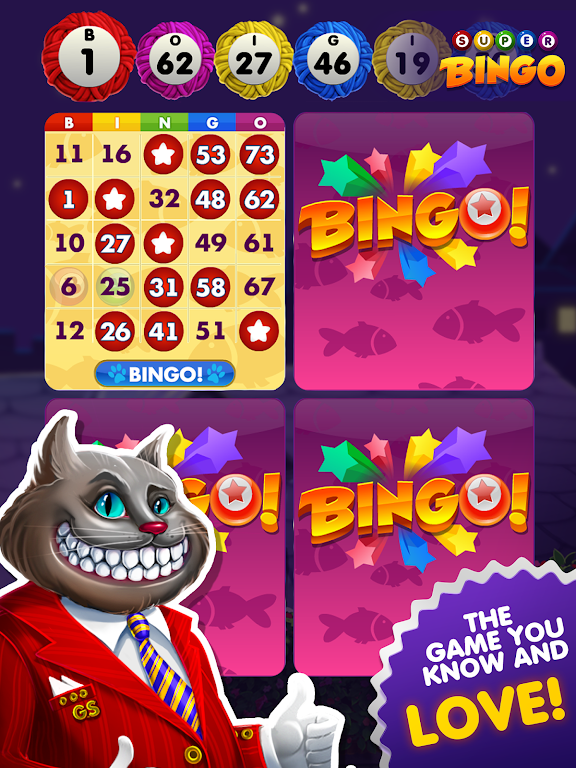 Super Bingo HD screenshot