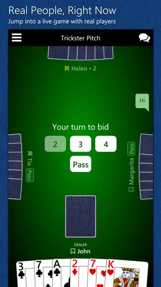 Trickster Pitch screenshot