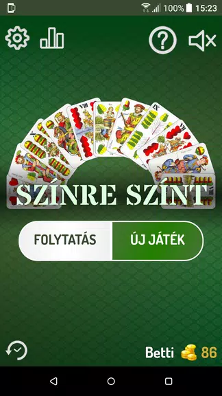 Színre szín (Körbe***) screenshot