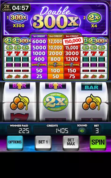 Double 300x Slot Machine screenshot