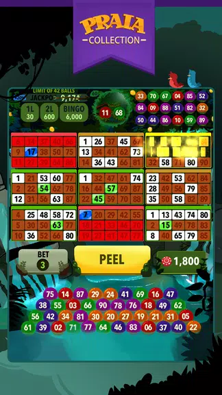 Video Bingo Ubatuba screenshot