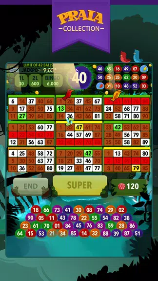 Video Bingo Ubatuba screenshot