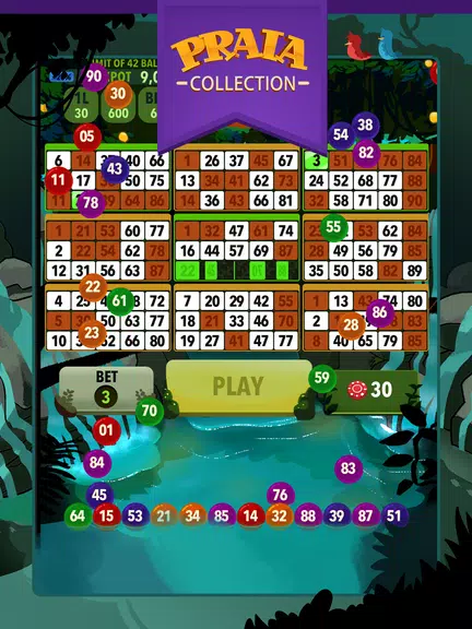 Video Bingo Ubatuba screenshot