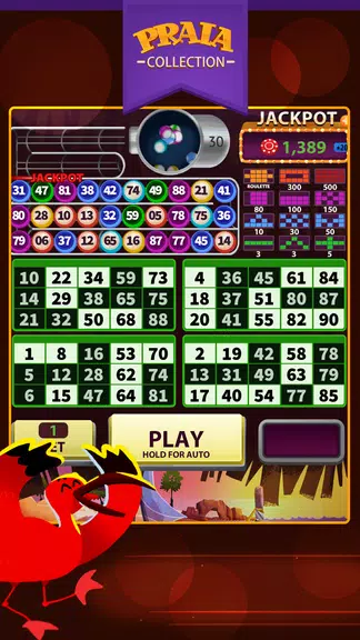 Jeri Video Bingo screenshot